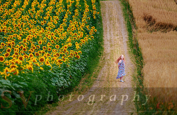 The Farm