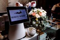 The White Rabbit