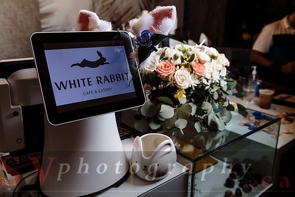 The White Rabbit
