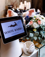 The White Rabbit