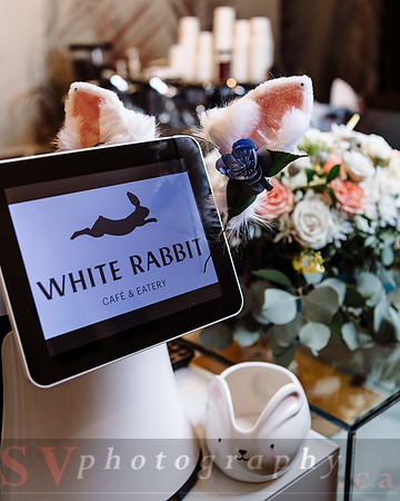 The White Rabbit
