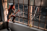 The Window