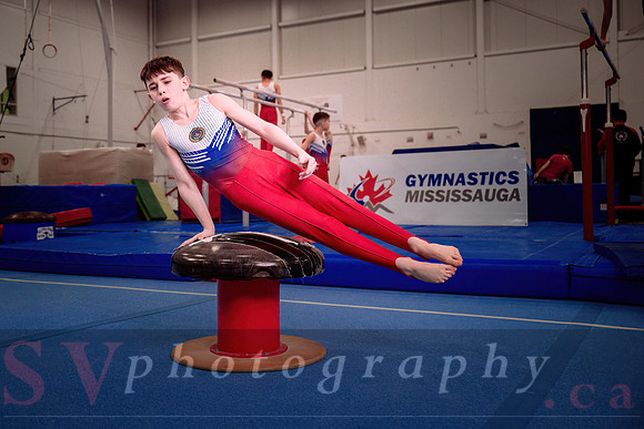 Gymnastics Mississauga