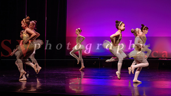 City Dance Corps (CDC)