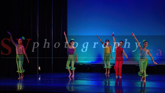 City Dance Corps (CDC)
