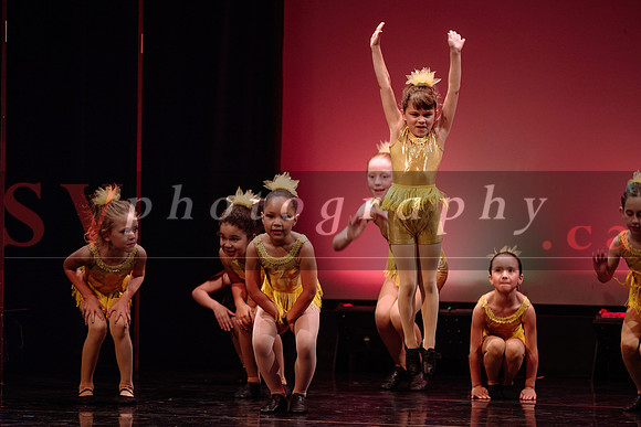 City Dance Corps (CDC)
