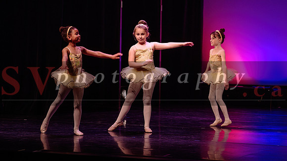 City Dance Corps (CDC)