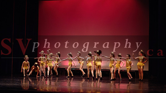 City Dance Corps (CDC)