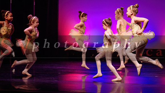 City Dance Corps (CDC)