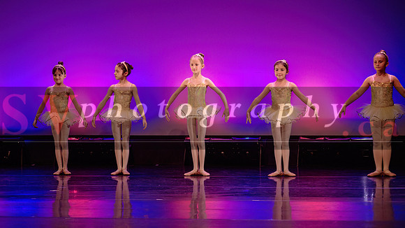 City Dance Corps (CDC)