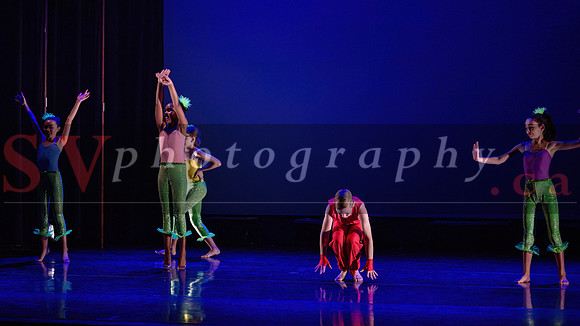 City Dance Corps (CDC)