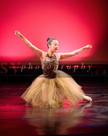 City Dance Corps (CDC)