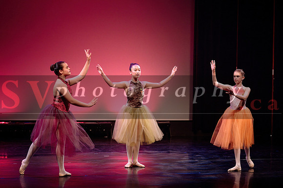 City Dance Corps (CDC)