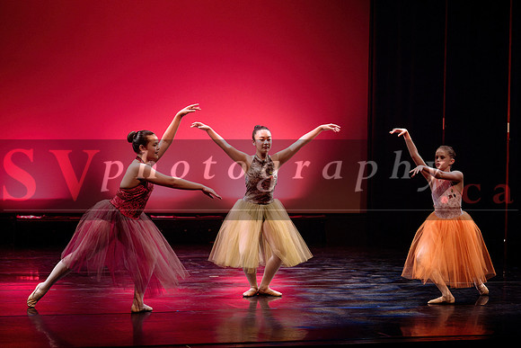 City Dance Corps (CDC)