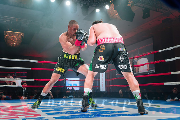 Shaw Boxing 2022