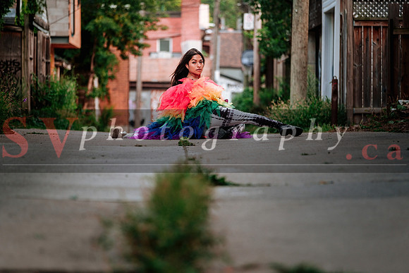 12th Annual Porch View Dances (PVD)
