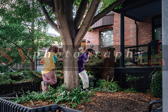 12th Annual Porch View Dances (PVD)