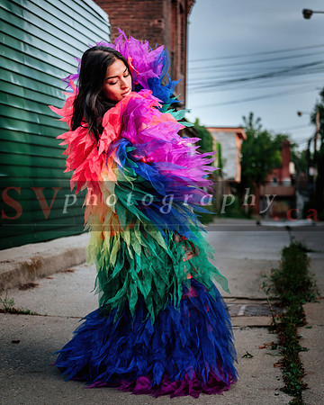 12th Annual Porch View Dances (PVD)