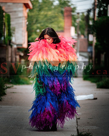 12th Annual Porch View Dances (PVD)