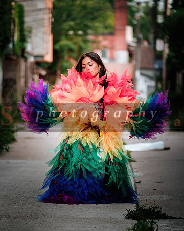 12th Annual Porch View Dances (PVD)