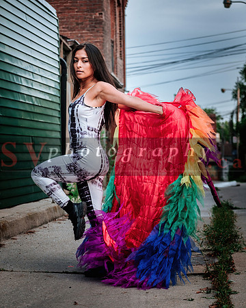 12th Annual Porch View Dances (PVD)