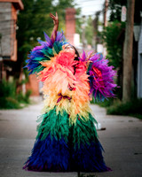 12th Annual Porch View Dances (PVD)