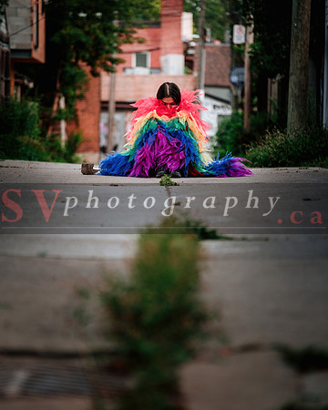12th Annual Porch View Dances (PVD)