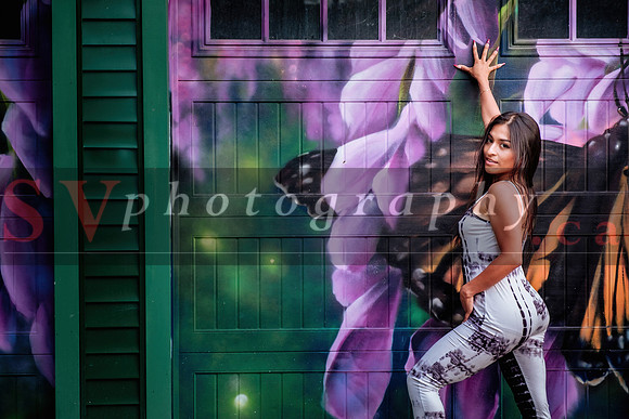 12th Annual Porch View Dances (PVD)