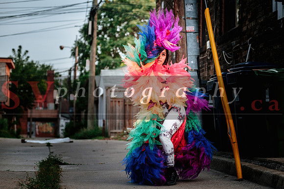 12th Annual Porch View Dances (PVD)