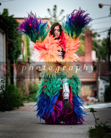 12th Annual Porch View Dances (PVD)