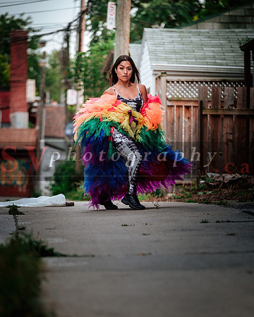 12th Annual Porch View Dances (PVD)