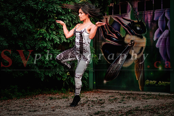 12th Annual Porch View Dances (PVD)