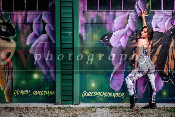 12th Annual Porch View Dances (PVD)