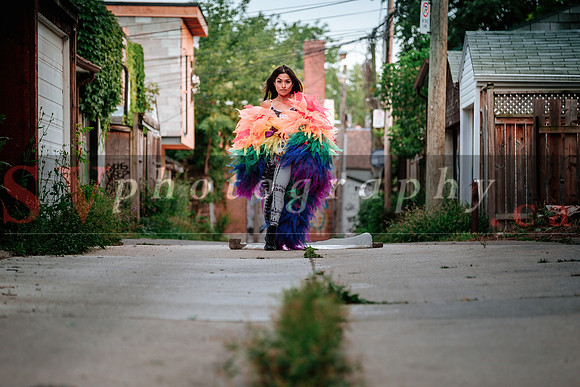 12th Annual Porch View Dances (PVD)