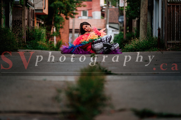 12th Annual Porch View Dances (PVD)