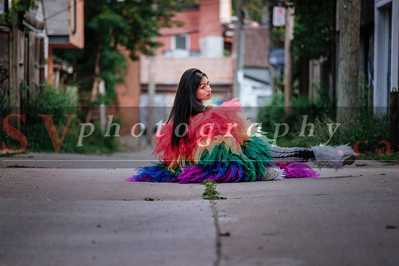12th Annual Porch View Dances (PVD)