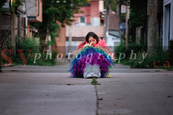 12th Annual Porch View Dances (PVD)