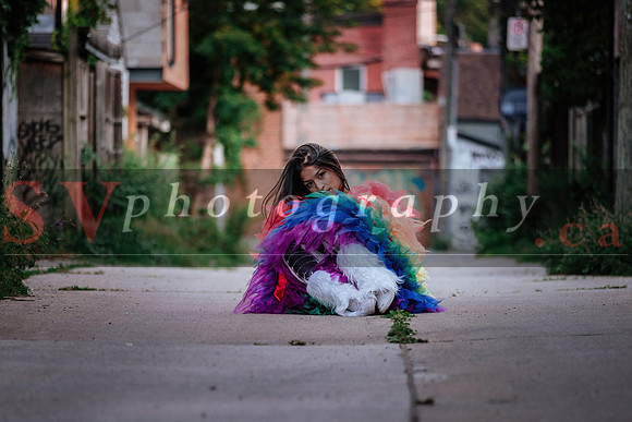 12th Annual Porch View Dances (PVD)