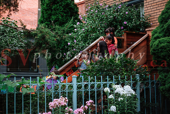 12th Annual Porch View Dances (PVD)