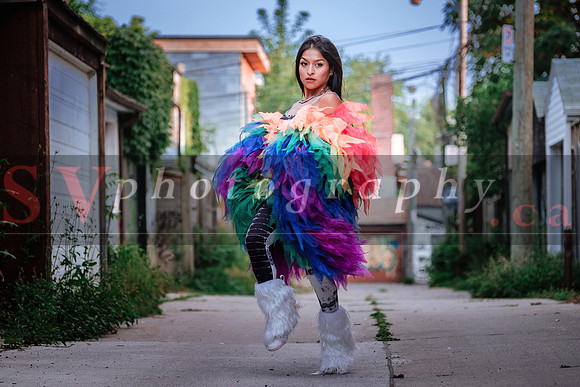 12th Annual Porch View Dances (PVD)