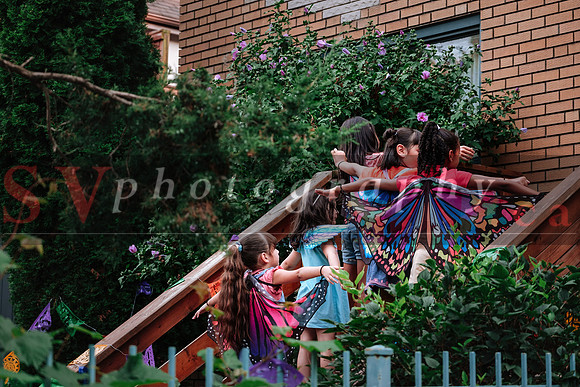 12th Annual Porch View Dances (PVD)