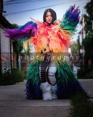 12th Annual Porch View Dances (PVD)