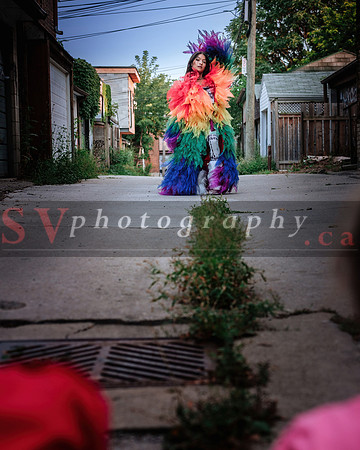 12th Annual Porch View Dances (PVD)