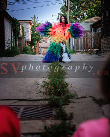 12th Annual Porch View Dances (PVD)