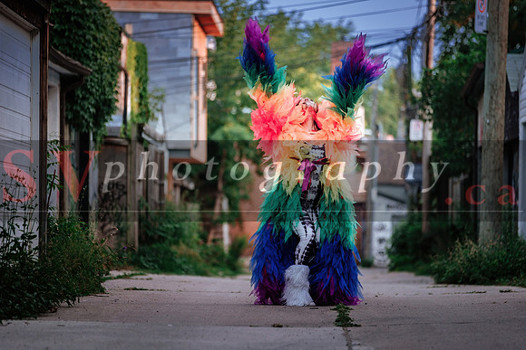12th Annual Porch View Dances (PVD)