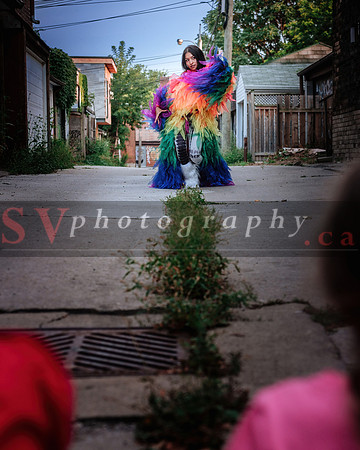 12th Annual Porch View Dances (PVD)