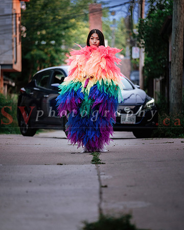 12th Annual Porch View Dances (PVD)