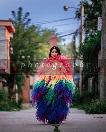 12th Annual Porch View Dances (PVD)