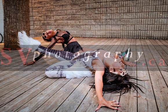 12th Annual Porch View Dances (PVD)