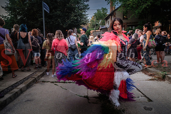 12th Annual Porch View Dances (PVD)